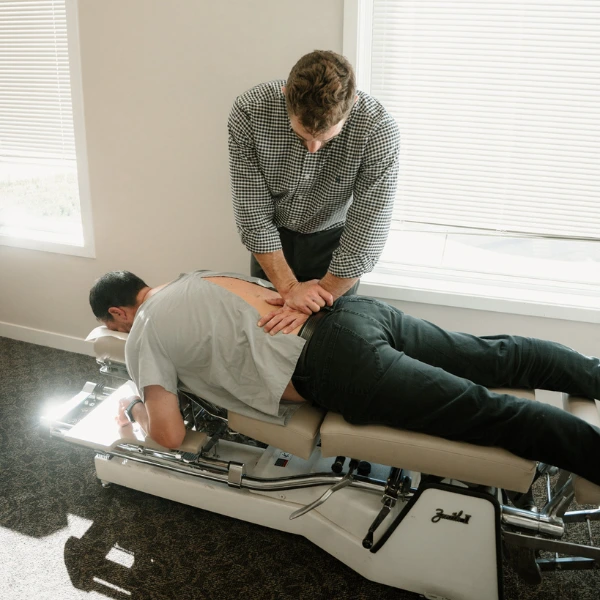 chiropractor ann arbor mi